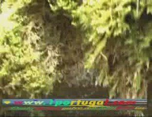 Vulcania - Clermont Ferrand - abril 2009 - N.1