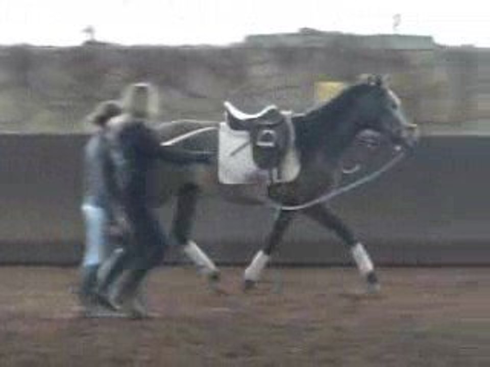 Resvelto
