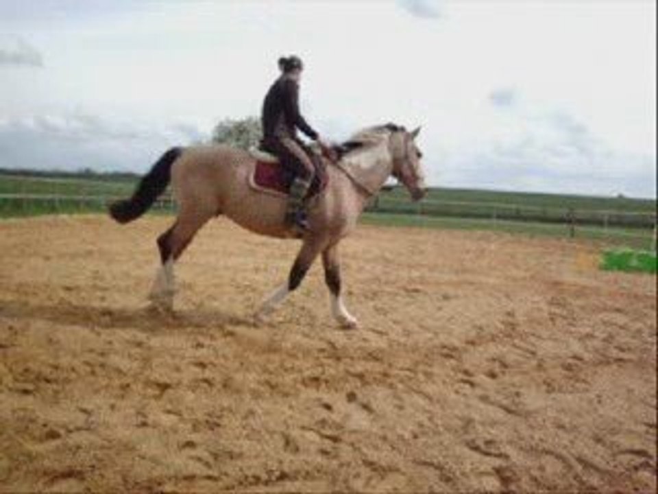 17avril2009