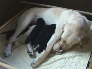 Kaly - Portée A - 17.04.2009