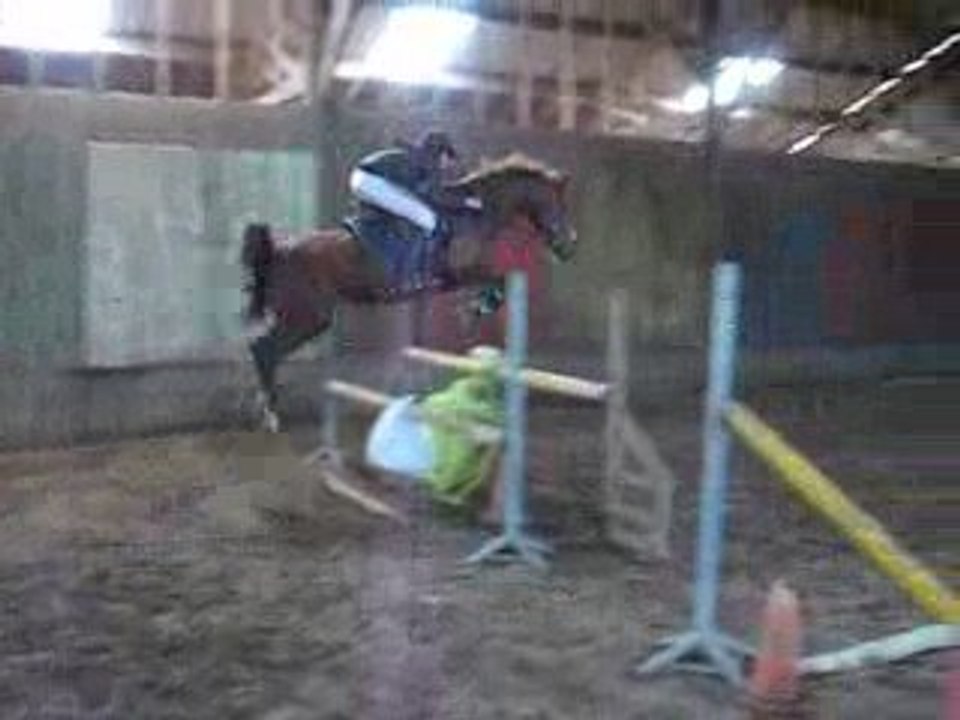hona 17/04/09