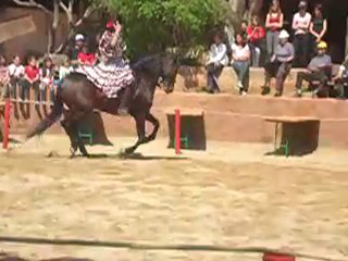 Spectacle Suite Carcés