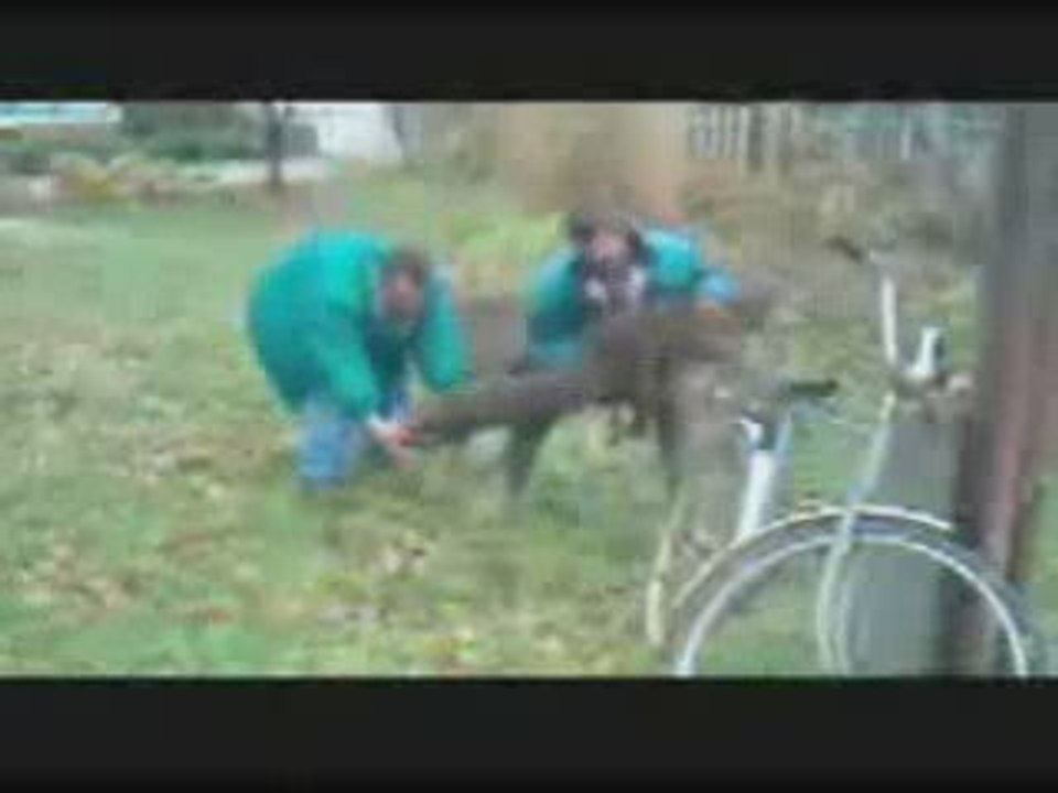 Les potes à REGIS tiennent pas l'alcool