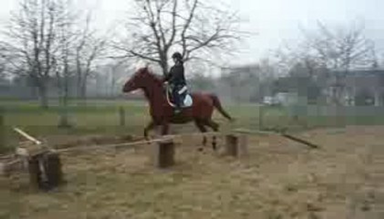 Saut prince