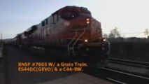 BNSF #7603 W/ a Grain Train