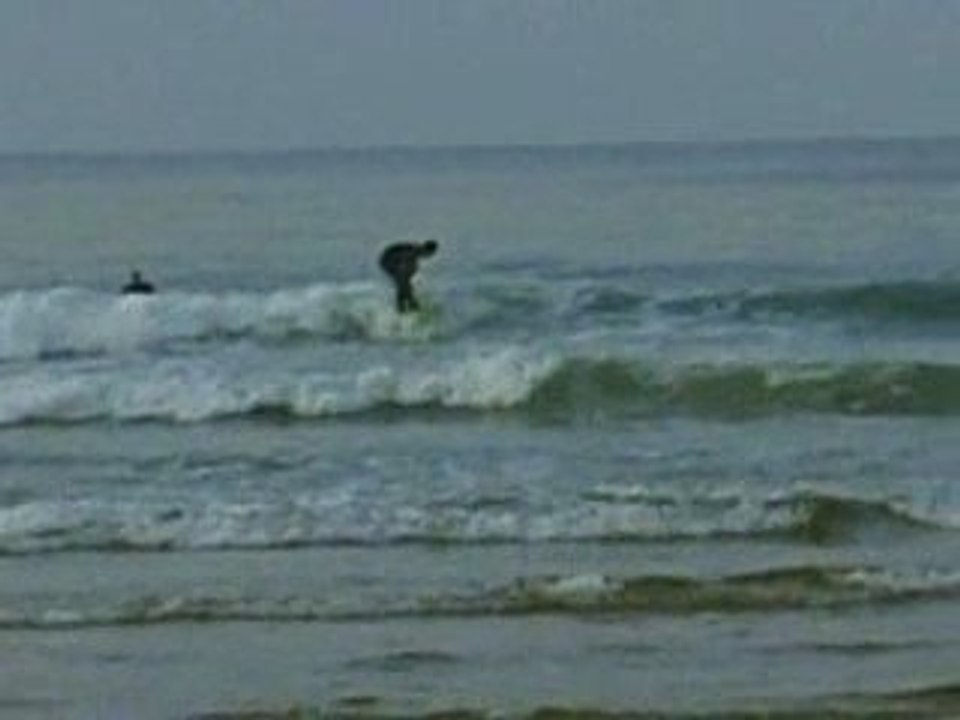 SURFING SOMO 2009