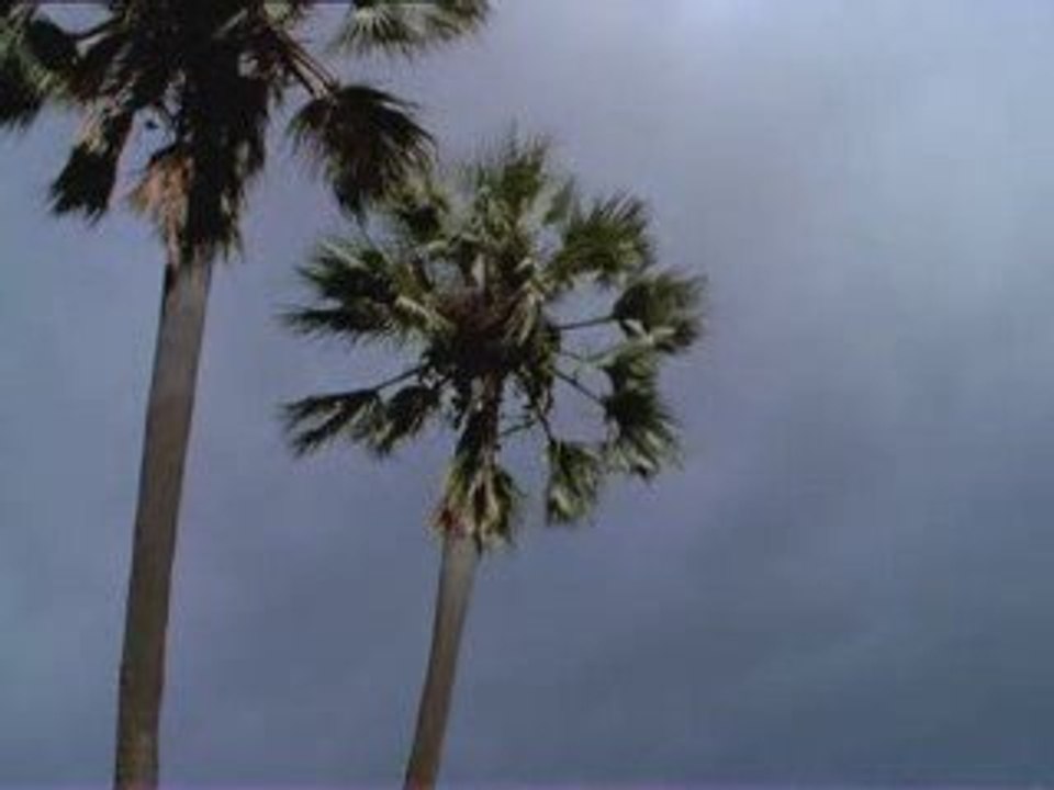 Le language des géants d'etosha (3/3)