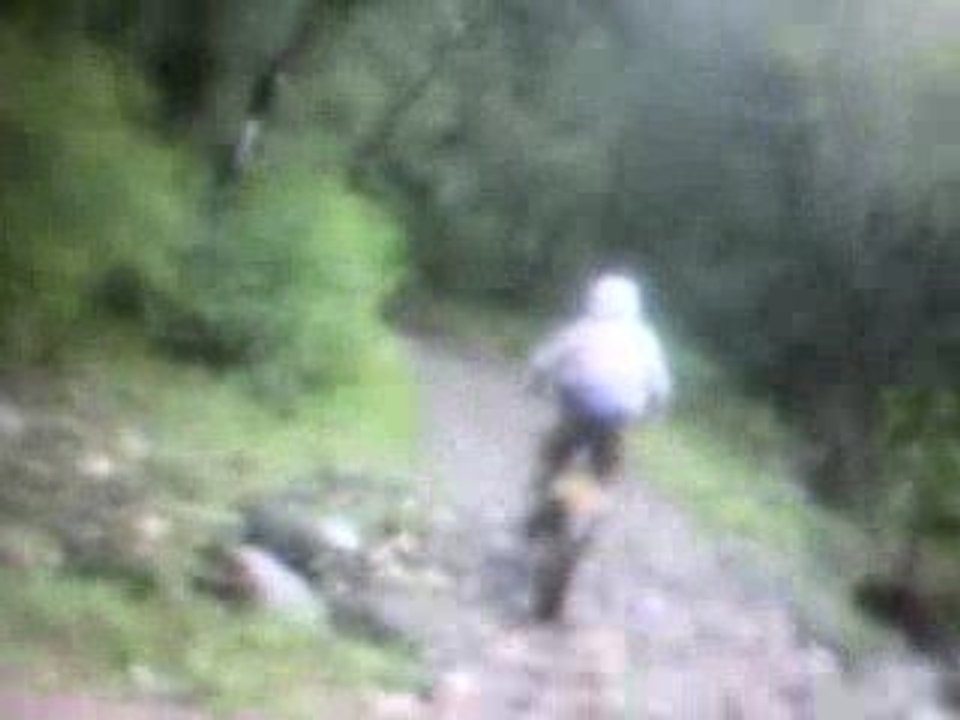 sortie vendredi nico etiennus sergio qui film