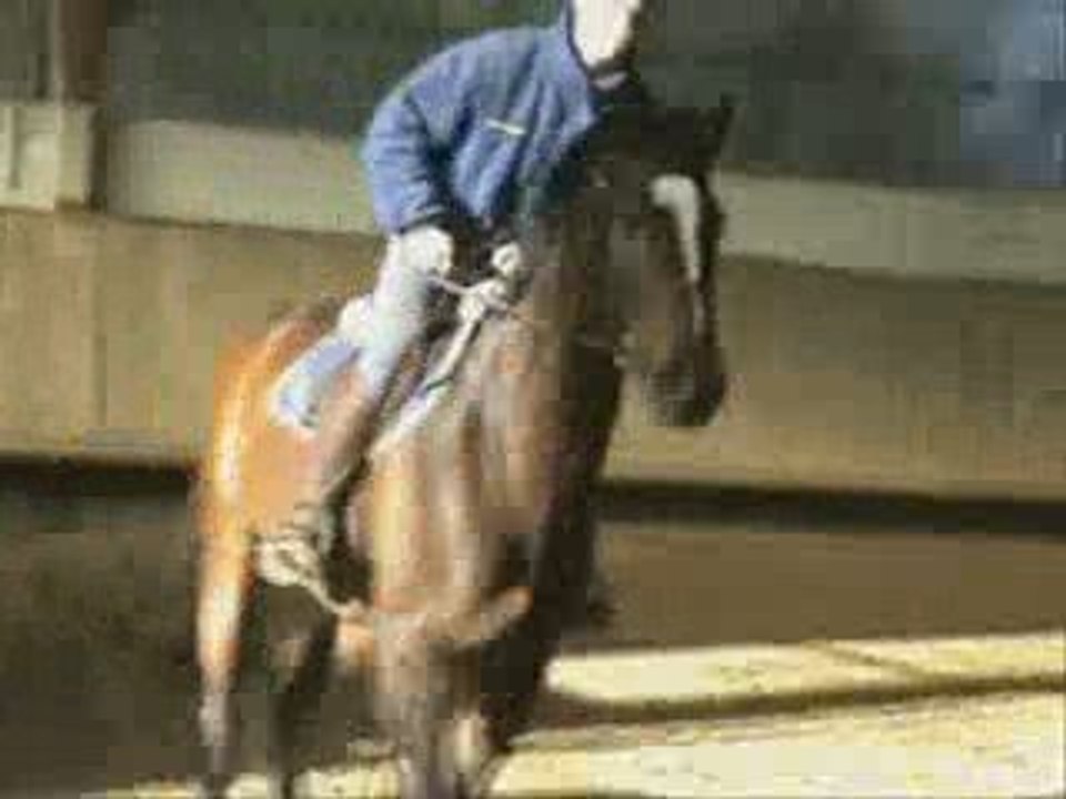 Rodrigo seance obstacle