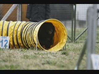 Agility Mont de Marsan 12_04_09