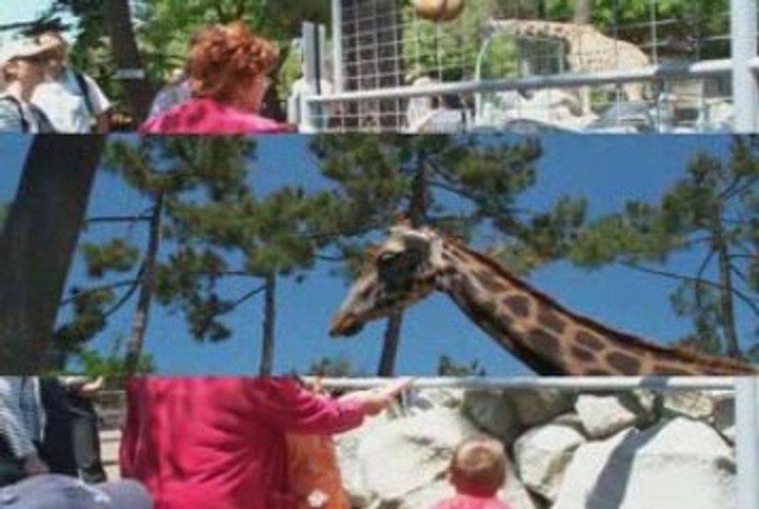 Le zoo en 2002 et en 2004