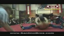 Pro Wrestling Schools / Lucha Libre ,SantinoBros.com