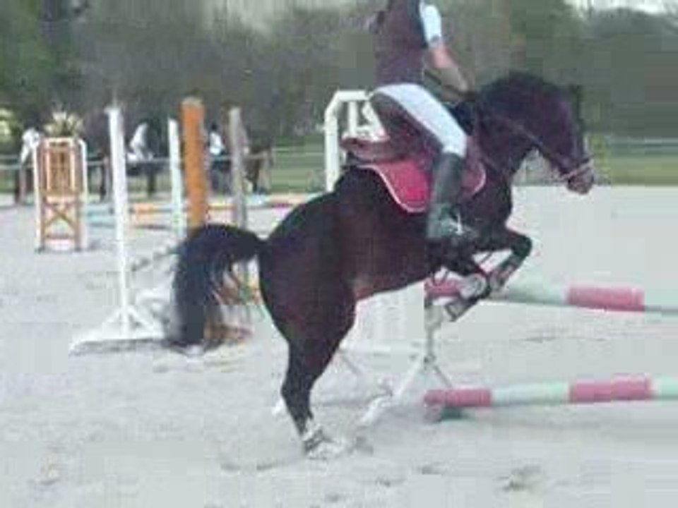 Concours au haras du val de camps