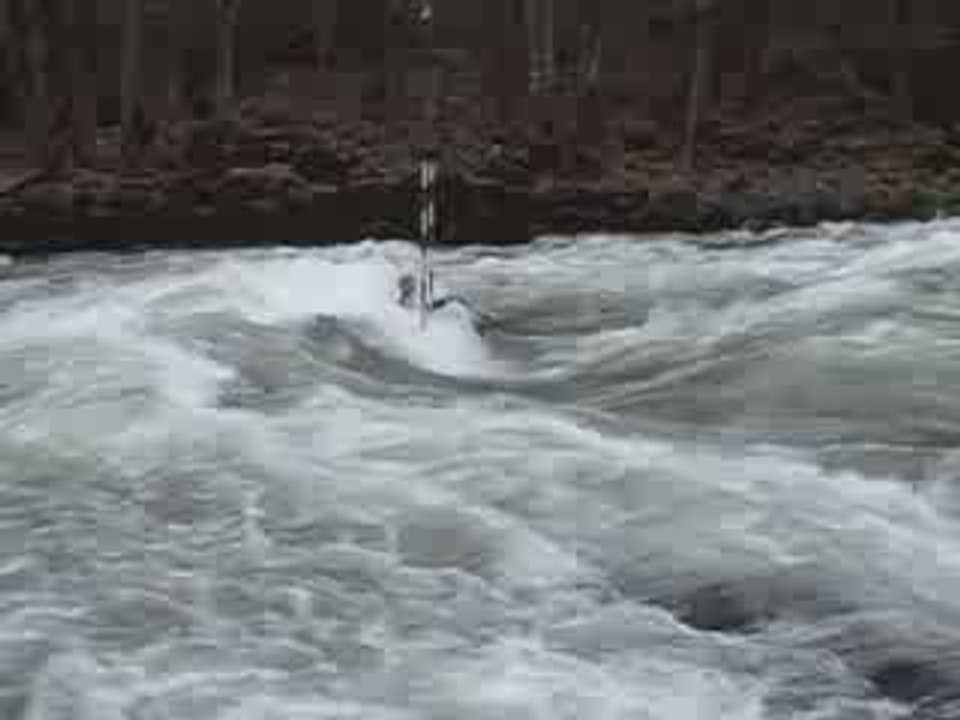 Gauthier2