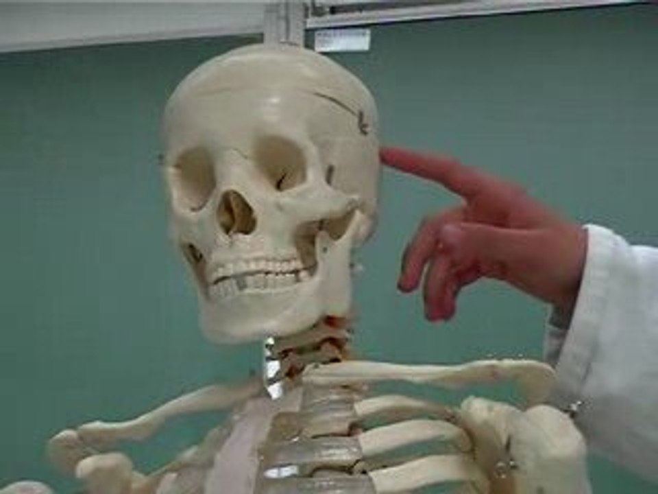 Défis 2005 (atelier cinéma)