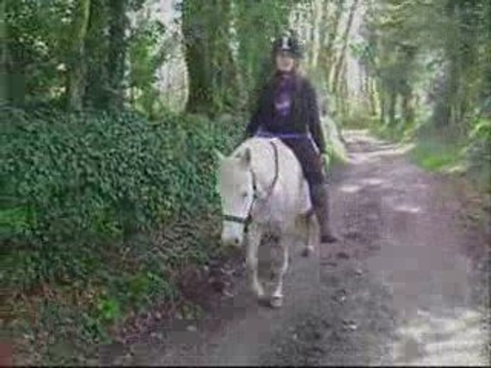 Balade de 2h en selle & 1h à cru - vendredi 17 avril 2009