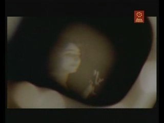 Documental: Alfred Kinsey,  El cientifico del Sexo 2/6