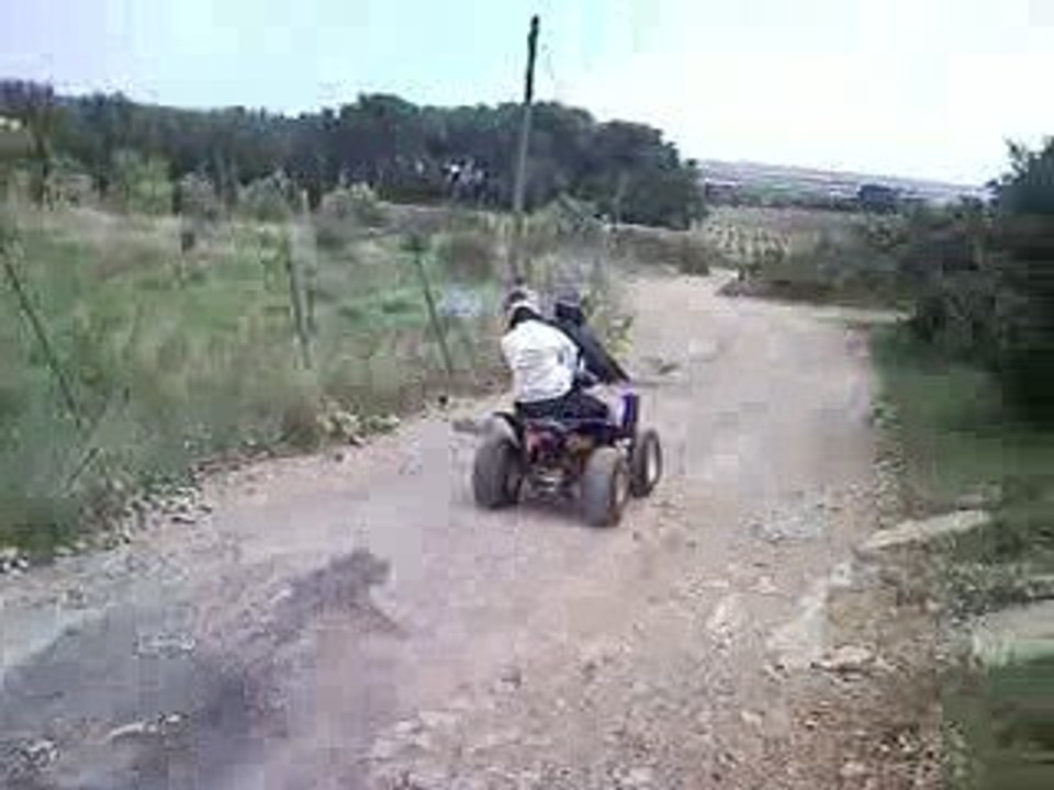 Lapinou Quad 3
