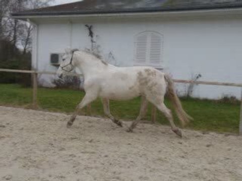 travail en liberté Rola