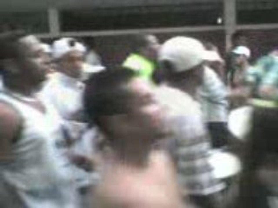 Torçida Palmeiras