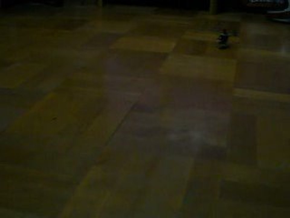 Walkera HM-4#3　Beginner【１】