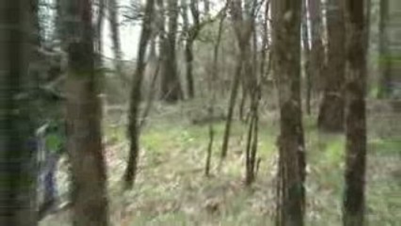Premiere sortie airsoft
