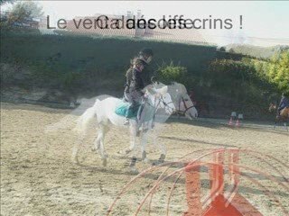 Les Petite Ecuries