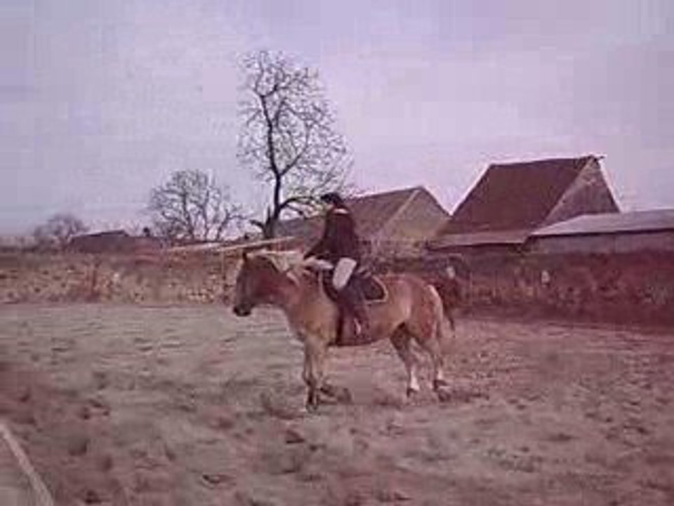 CLIP0036