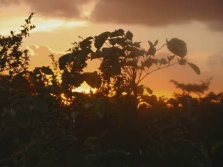 COUCHER DE SOLEIL EN GUADELOUPE