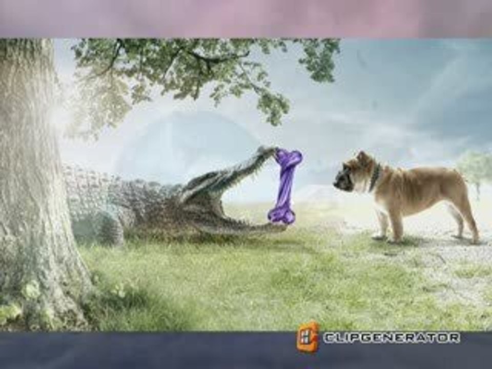 Funny Video Comedy
