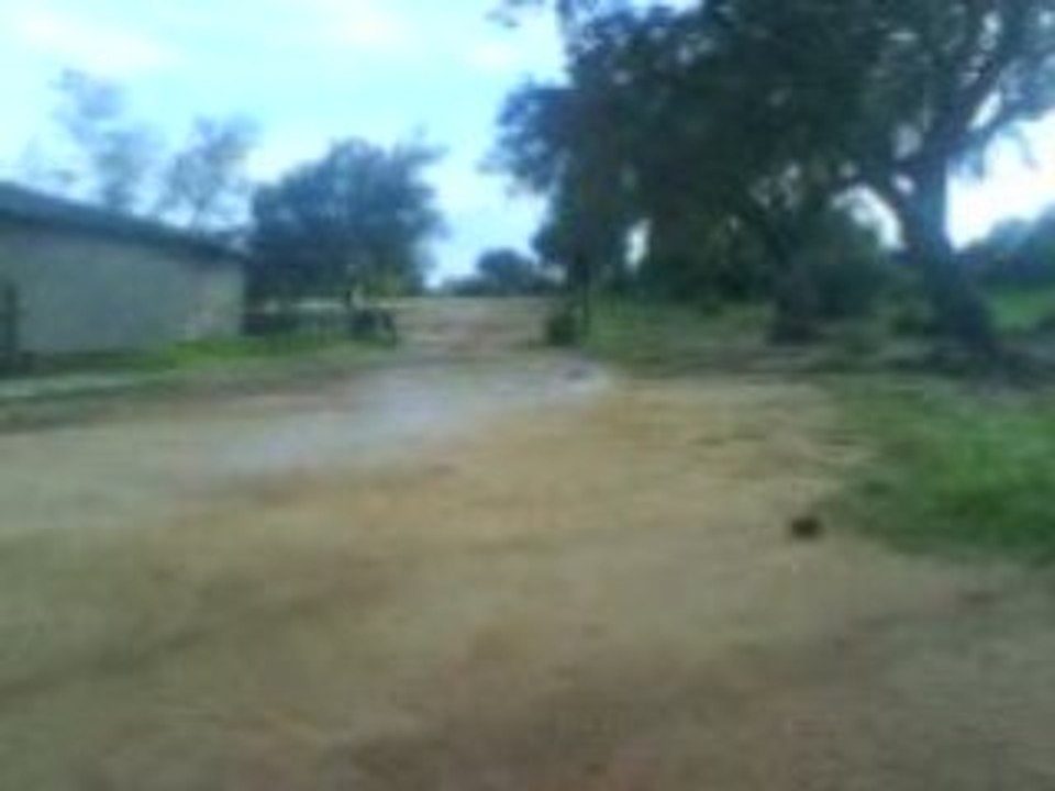 crash en revo rb323