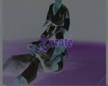 Clip gala d'arts martiaux à grandchamp des fontaines le 25 a