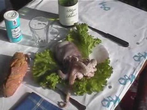 Fausse Pub Parodie Humour Le Poulpe Breton