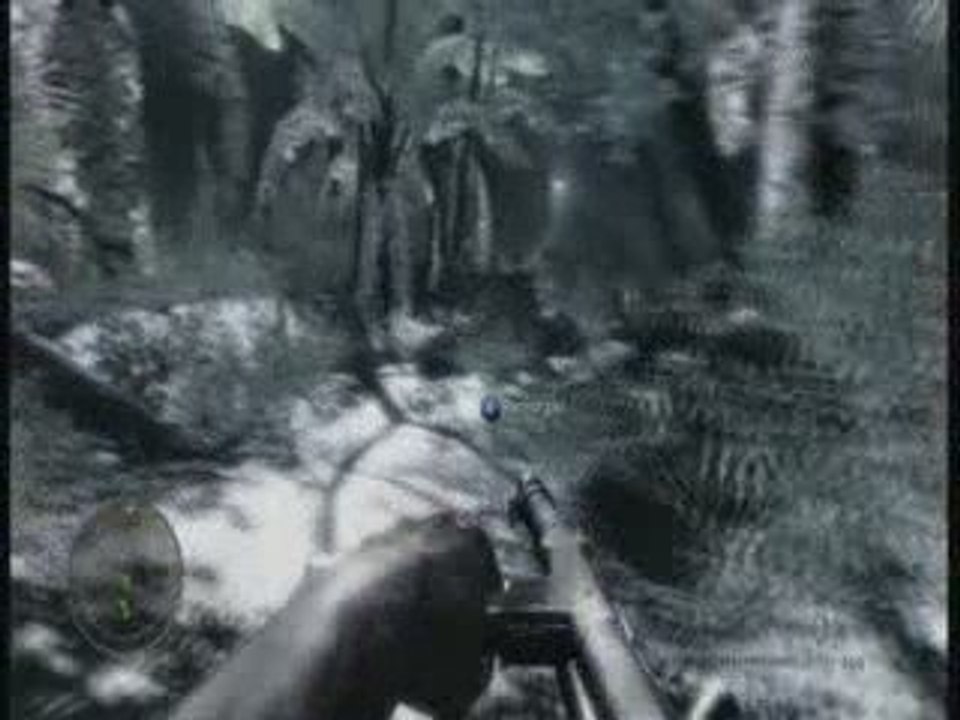 Video Test : Call of Duty World at War