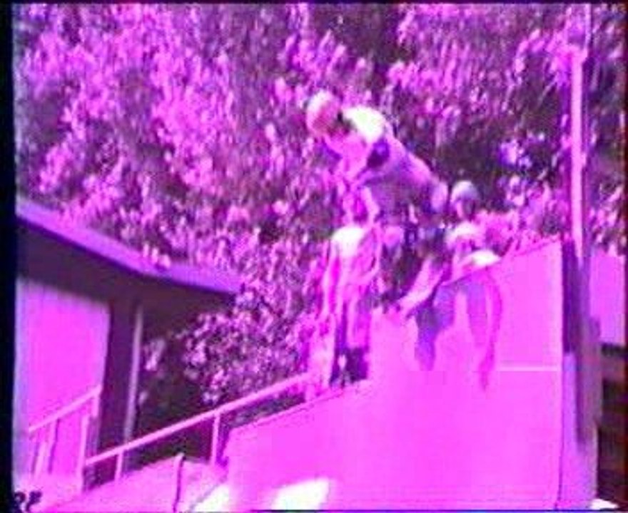 Bourges skate Miller hawk 1987