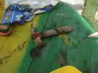 délire d'oeuf suite