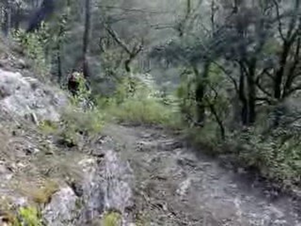 DH freeride - Specilized DEMO 8 II