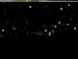 ecole du chiot suite