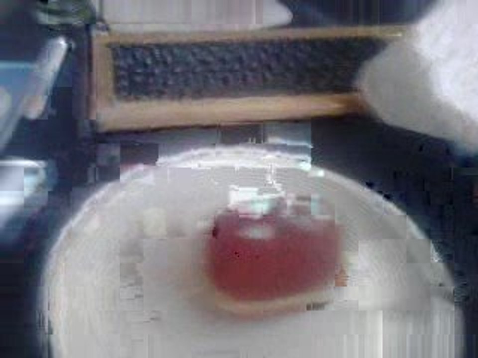 Kill Beignet