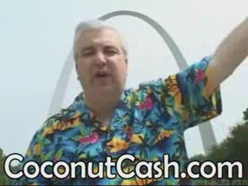 Zurvita Home Income Internet Business