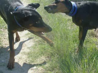 Sortie de poucinette & titi le 18 avril 2009