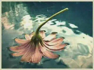 Liebe und tod