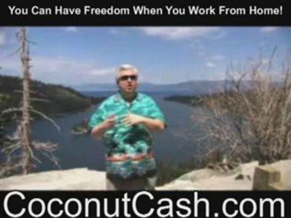 Zurvita! Substantial Income Opportunity!