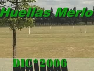 Huellas MerloClip002