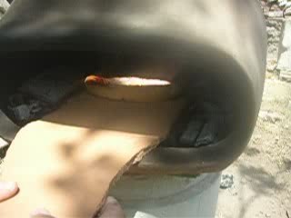 Four a pizza mexicain