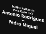 BOXEO - Antonio Rodriguez vs Pedro Miguel