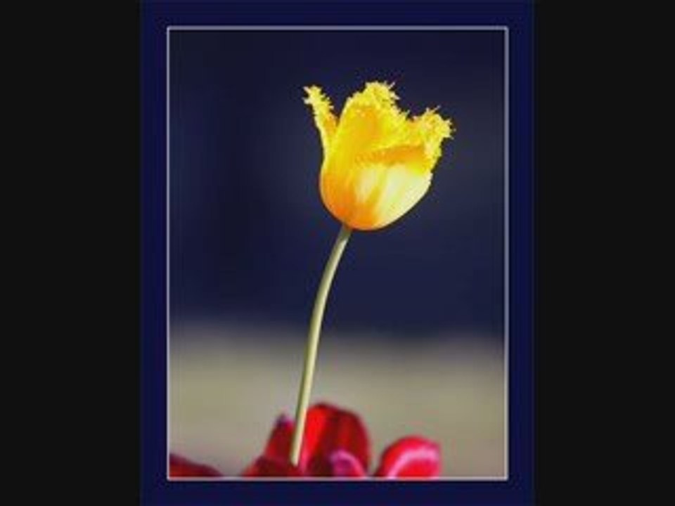 Masood Rana & Shoukat Ali - Sathio Mujahido Jaag Utha Hai