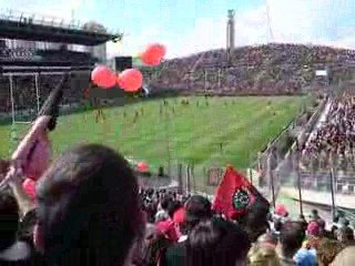 toulon - toulouse entrée des joueurs + pilou