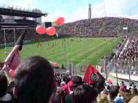 toulon - toulouse entrée des joueurs + pilou