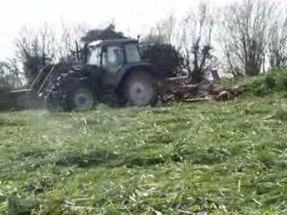 Herbe 2009 (2)